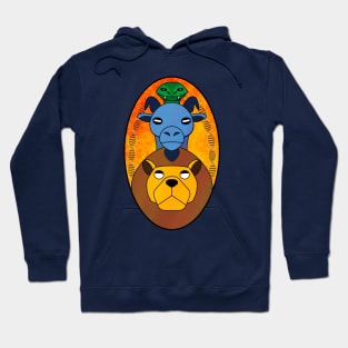 Medical Chimera Hoodie